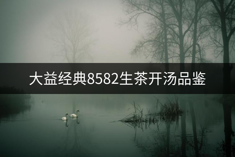 大益經(jīng)典8582生茶開(kāi)湯品鑒 大益經(jīng)典8582生茶開(kāi)湯品鑒