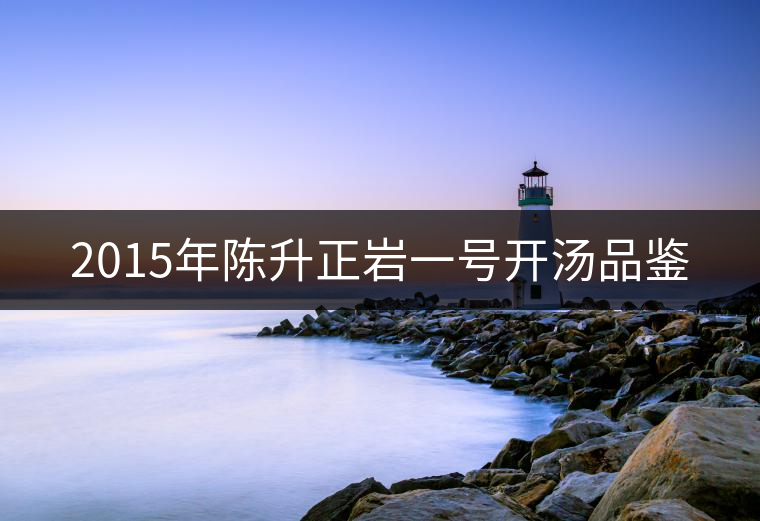 2015年陳升正巖一號(hào)開(kāi)湯品鑒 2015年陳升正巖一號(hào)開(kāi)湯品鑒