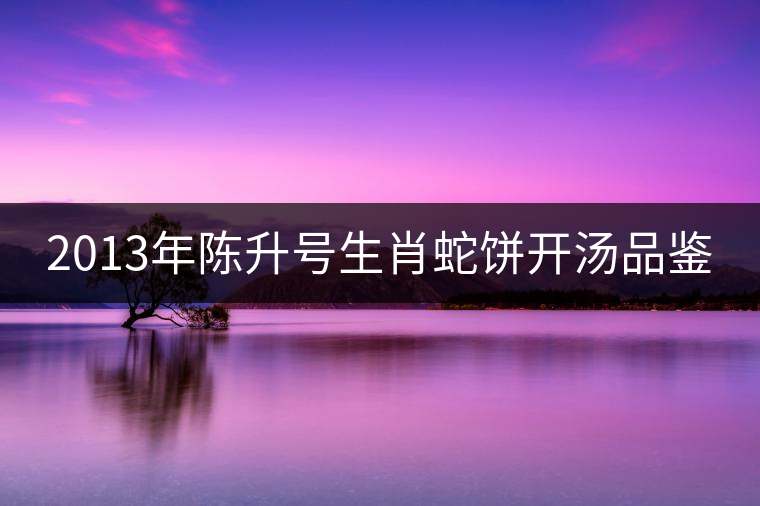 2013年陳升號(hào)生肖蛇餅開(kāi)湯品鑒 2013年陳升號(hào)生肖蛇餅開(kāi)湯品鑒