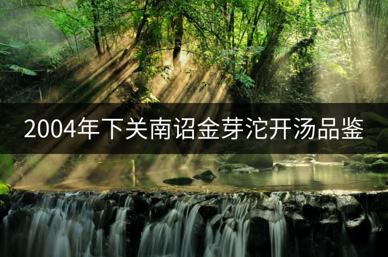 2004年下關(guān)南詔金芽沱開(kāi)湯品鑒 2004年下關(guān)南詔金芽沱開(kāi)湯品鑒