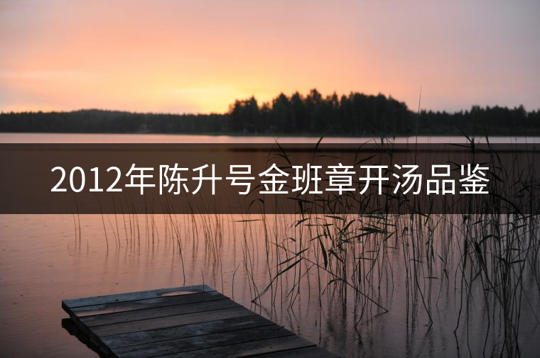 2012年陳升號(hào)金班章開湯品鑒 2012年陳升號(hào)金班章開湯品鑒