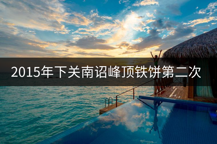 2015年下關(guān)南詔峰頂鐵餅第二次開湯品鑒 2015年下關(guān)南詔峰頂鐵餅第二次開湯品鑒