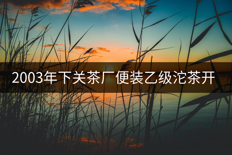 2003年下關茶廠便裝乙級沱茶開湯品鑒