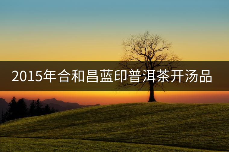 2015年合和昌藍(lán)印普洱茶開湯品鑒