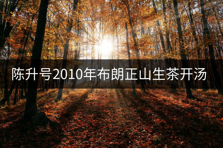 陳升號(hào)2010年布朗正山生茶開(kāi)湯品鑒