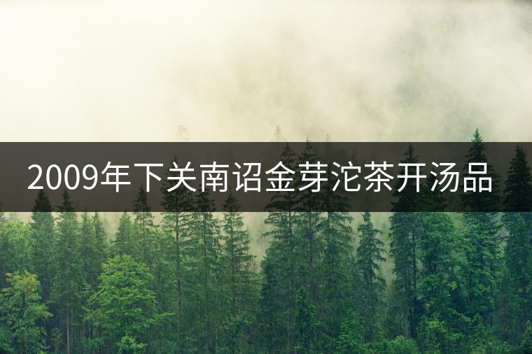 2009年下關(guān)南詔金芽沱茶開(kāi)湯品鑒 2009年下關(guān)南詔金芽沱茶開(kāi)湯品鑒