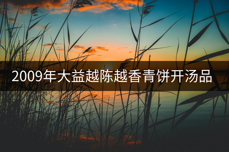 2009年大益越陳越香青餅開湯品鑒 2009年大益越陳越香青餅開湯品鑒