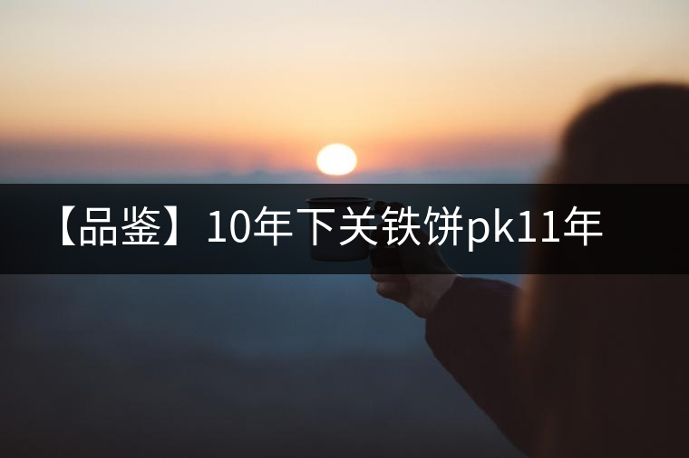 【品鑒】10年下關鐵餅pk11年下關鐵餅