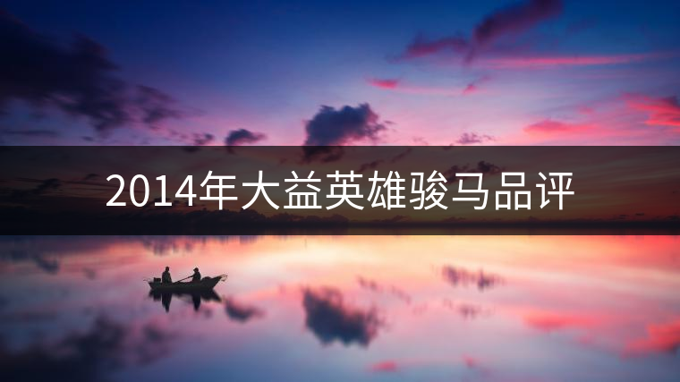 2014年大益英雄駿馬品評