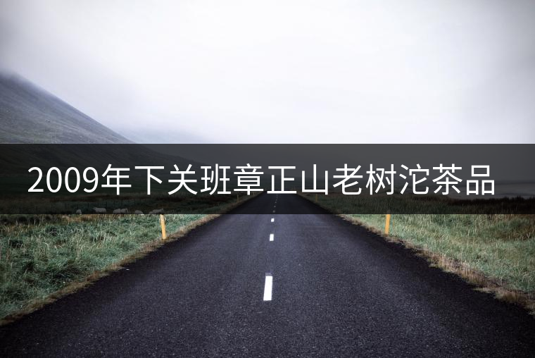 2009年下關(guān)班章正山老樹沱茶品評