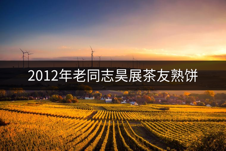 2012年老同志昊展茶友熟餅