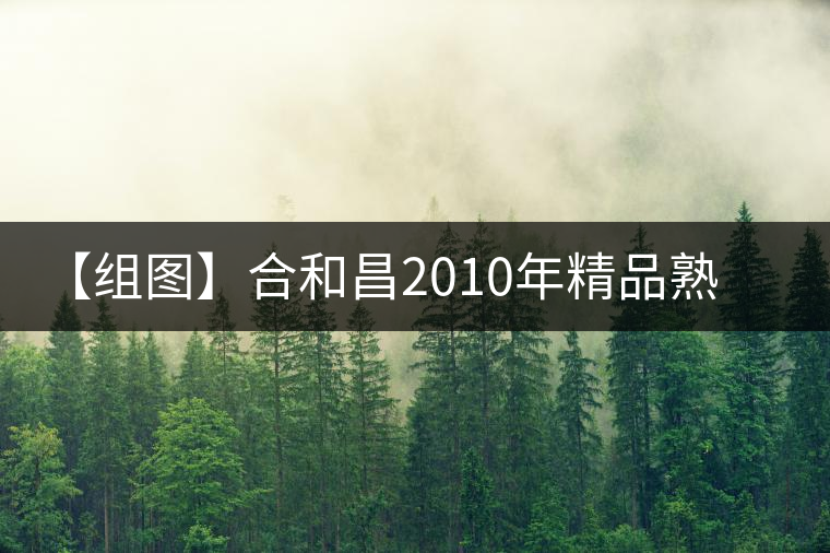 【組圖】合和昌2010年精品熟茶開湯 【組圖】合和昌2010年精品熟茶開湯