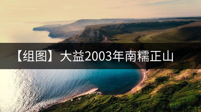 【組圖】大益2003年南糯正山餅開(kāi)湯