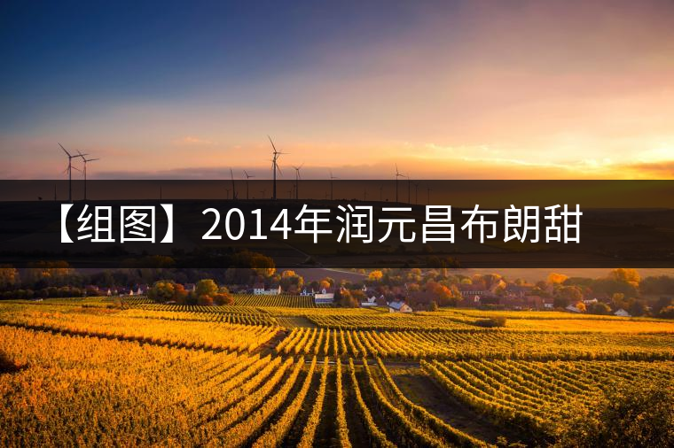 【組圖】2014年潤(rùn)元昌布朗甜茶開湯