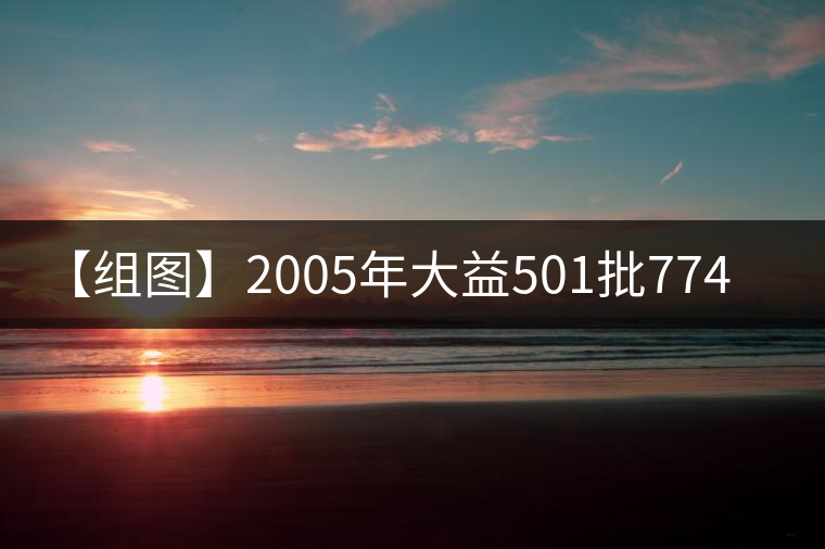 【組圖】2005年大益501批7742開湯