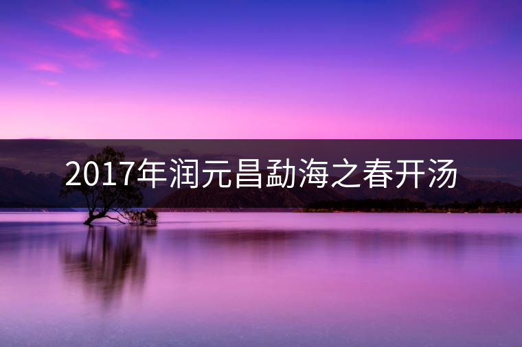 2017年潤元昌勐海之春開湯 2017年潤元昌勐海之春開湯