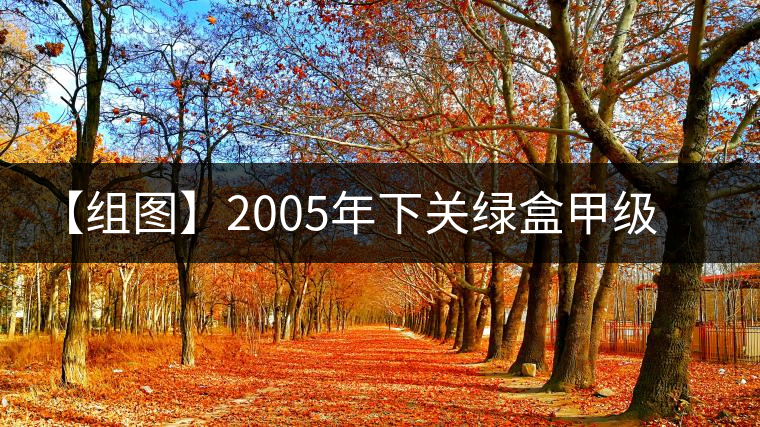 【組圖】2005年下關(guān)綠盒甲級沱開湯 【組圖】2005年下關(guān)綠盒甲級沱開湯