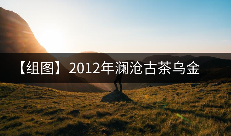 【組圖】2012年瀾滄古茶烏金磚開湯 【組圖】2012年瀾滄古茶烏金磚開湯