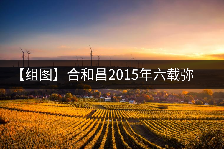 【組圖】合和昌2015年六載彌臻開(kāi)湯