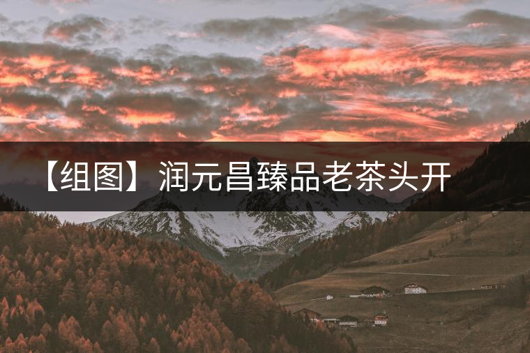 【組圖】潤(rùn)元昌臻品老茶頭開(kāi)湯