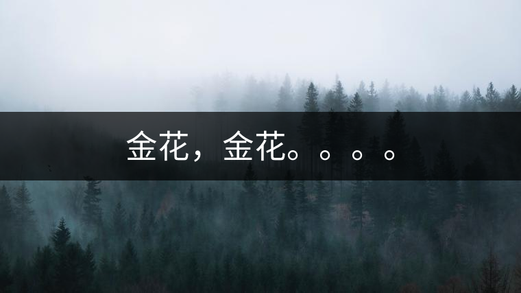 金花，金花。。。。