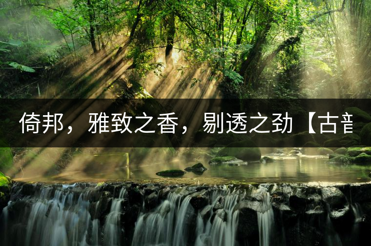 倚邦，雅致之香，剔透之勁【古普十二山品鑒】