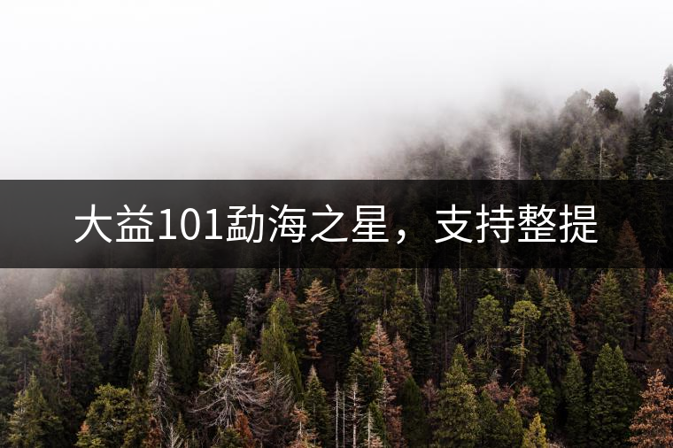 大益101勐海之星，支持整提