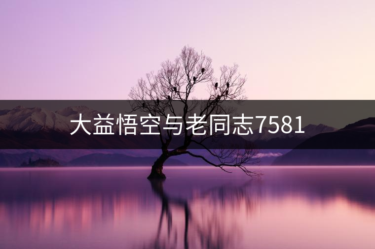 大益悟空與老同志7581 大益悟空與老同志7581