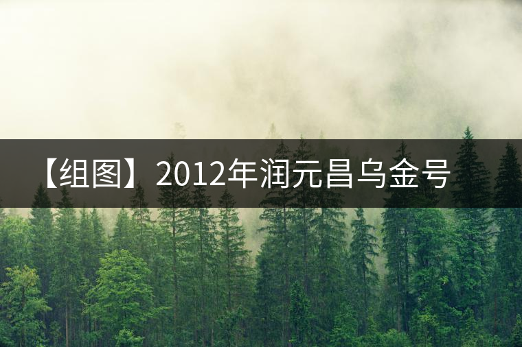 【組圖】2012年潤元昌烏金號(hào)普洱生茶開湯