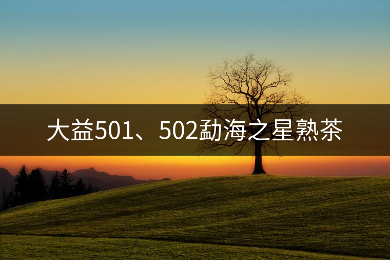 大益501、502勐海之星熟茶