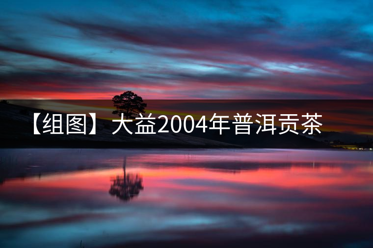 【組圖】大益2004年普洱貢茶熟餅開湯