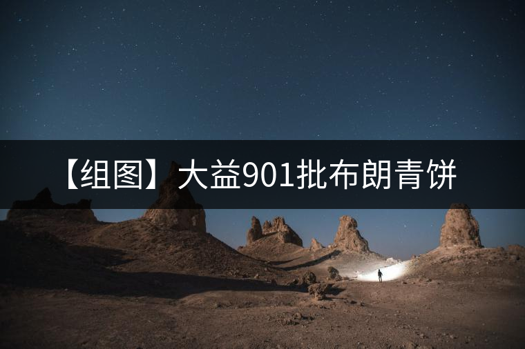 【組圖】大益901批布朗青餅