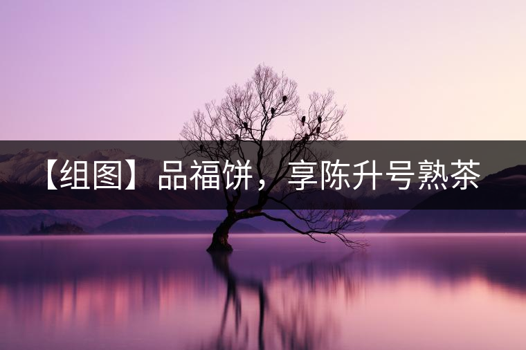 【組圖】品福餅，享陳升號熟茶滋味