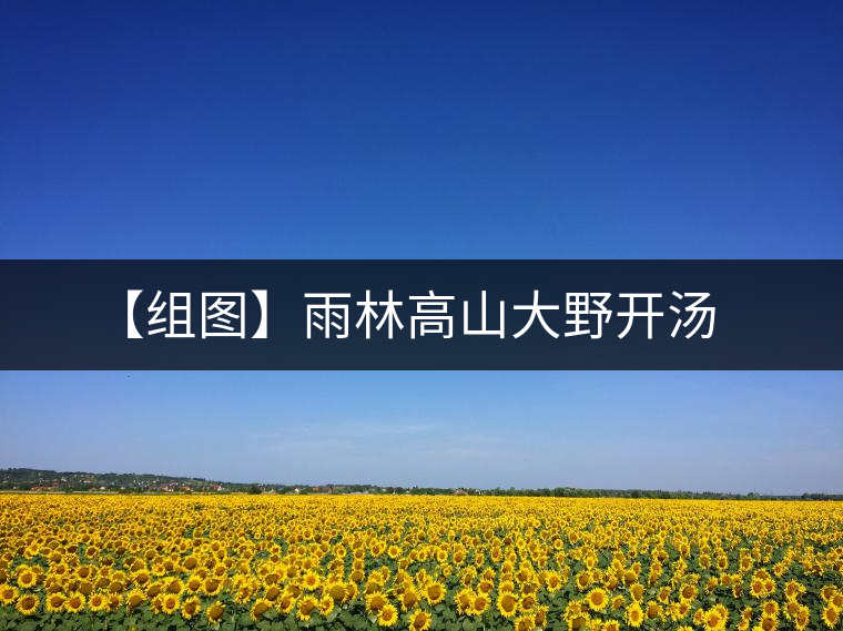 【組圖】雨林高山大野開(kāi)湯