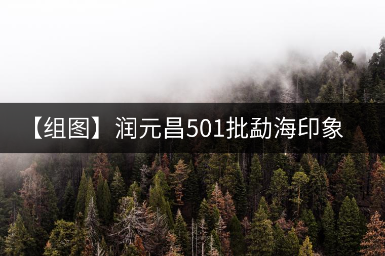 【組圖】潤(rùn)元昌501批勐海印象餅開湯