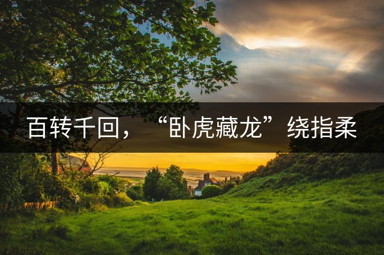 百轉(zhuǎn)千回，“臥虎藏龍”繞指柔