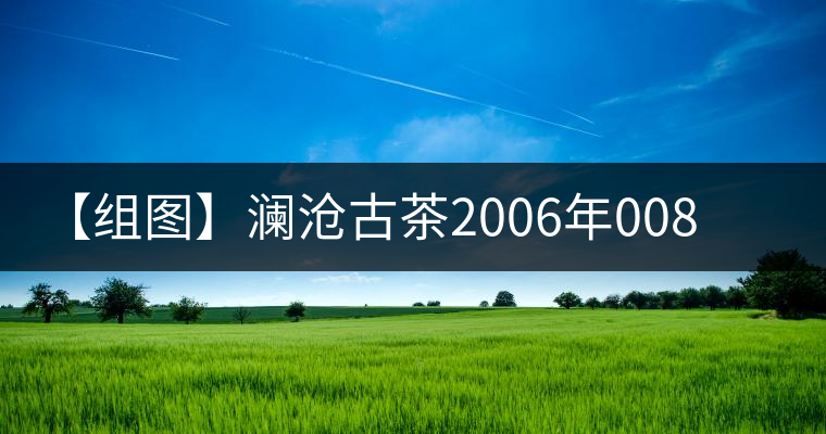 【組圖】瀾滄古茶2006年0081班禪沱開湯