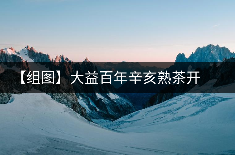 【組圖】大益百年辛亥熟茶開湯 【組圖】大益百年辛亥熟茶開湯