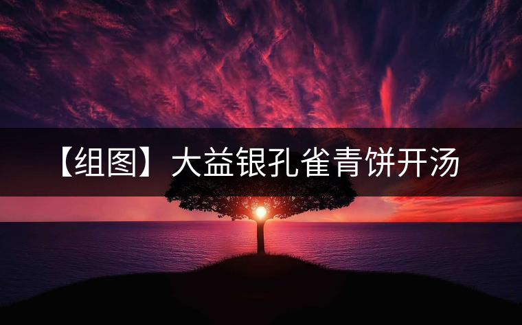 【組圖】大益銀孔雀青餅開湯 【組圖】大益銀孔雀青餅開湯