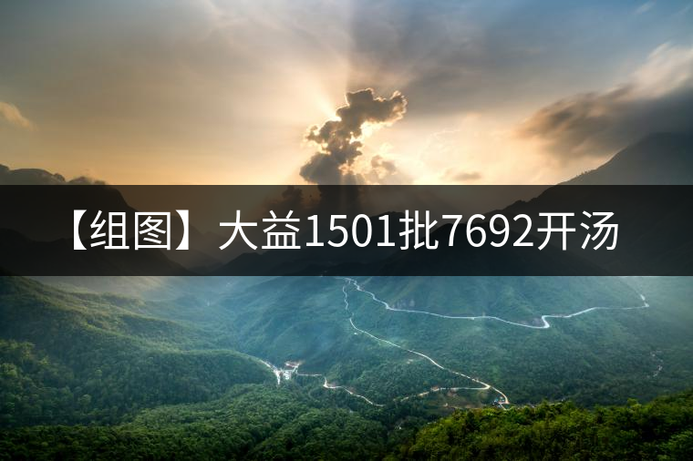 【組圖】大益1501批7692開湯 【組圖】大益1501批7692開湯