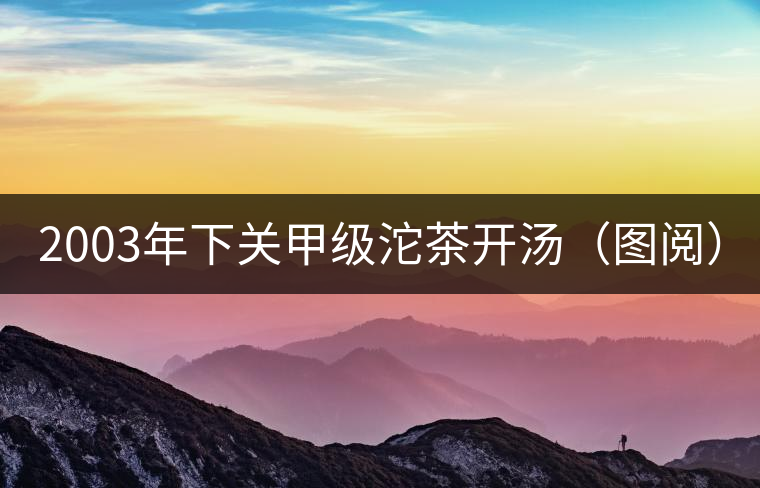 2003年下關甲級沱茶開湯(圖閱) 2003年下關甲級沱茶開湯(圖閱)