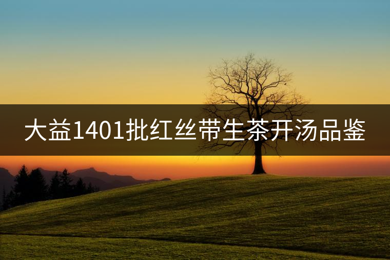 大益1401批紅絲帶生茶開(kāi)湯品鑒 大益1401批紅絲帶生茶開(kāi)湯品鑒
