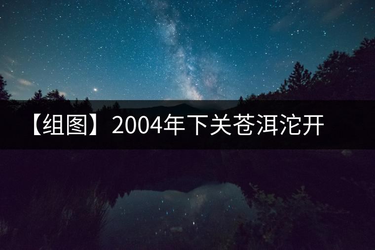 【組圖】2004年下關蒼洱沱開湯 【組圖】2004年下關蒼洱沱開湯