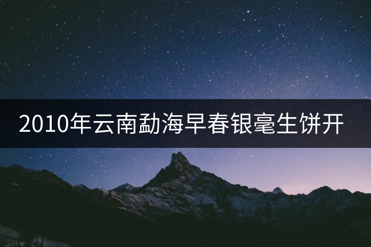 2010年云南勐海早春銀毫生餅開湯 2010年云南勐海早春銀毫生餅開湯