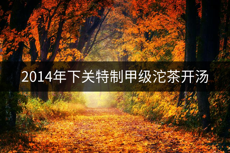 2014年下關特制甲級沱茶開湯 2014年下關特制甲級沱茶開湯