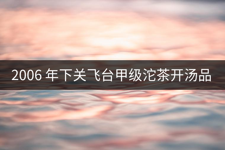 2006 年下關飛臺甲級沱茶開湯品鑒