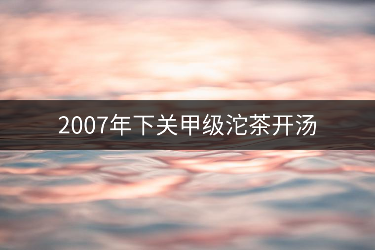 2007年下關甲級沱茶開湯 2007年下關甲級沱茶開湯