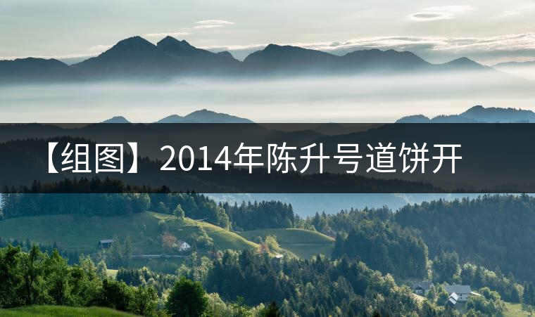 【組圖】2014年陳升號(hào)道餅開(kāi)湯