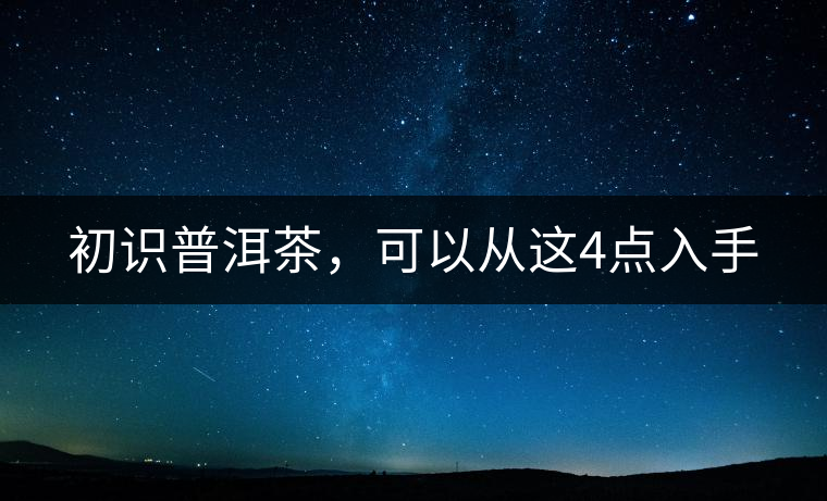 初識普洱茶，可以從這4點入手