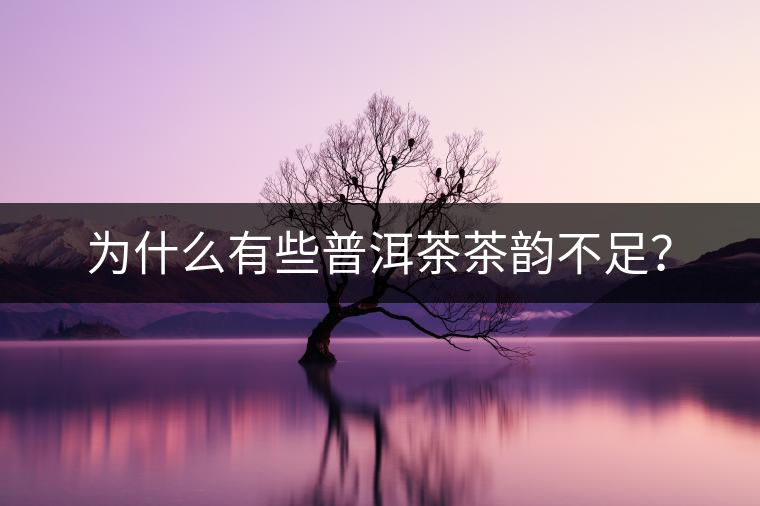 為什么有些普洱茶茶韻不足？
